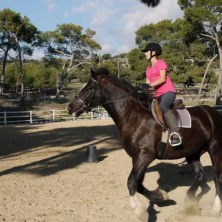 Charming Pz12 - Lefkara, Aphrodite Hills Kouklia